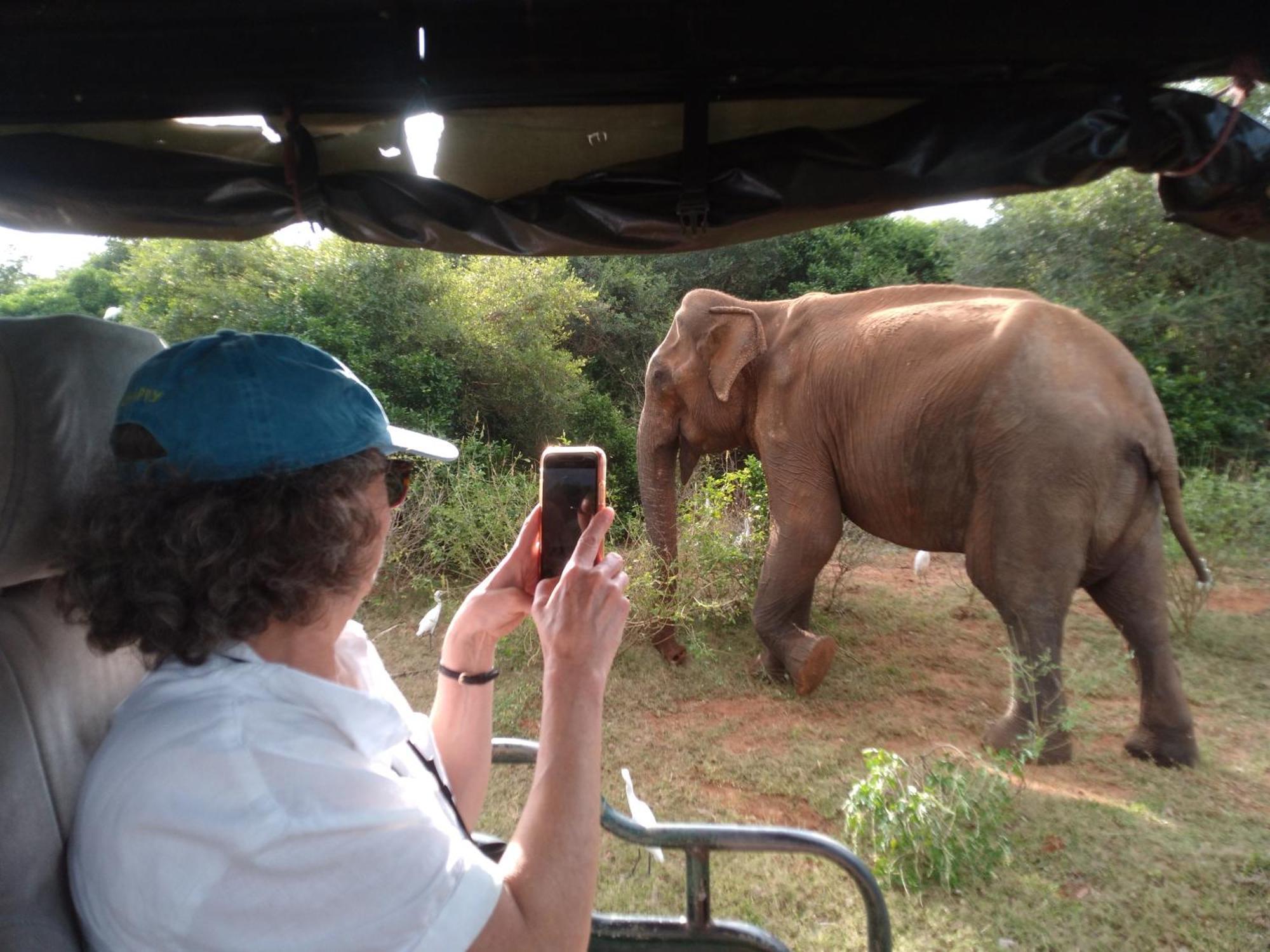 Happy Beach Safari Retreat Hambantota Ngoại thất bức ảnh